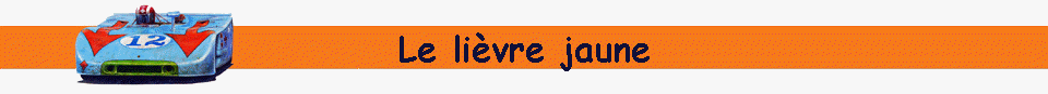 Le livre jaune